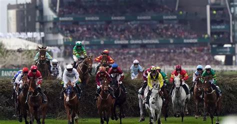 grand national finishers